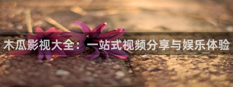 九七电影院97理论片免费观看韩国