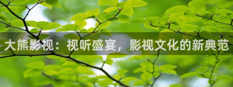 97影院免费观看电视剧大全：大熊影视：视听盛宴，影视文化的新典范