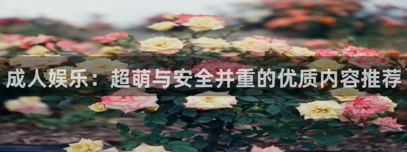 97资源在线视频观看