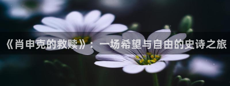 97在线观看视频理论